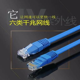 品质与价值的融合 一品好特惠多规格成品网线选购指南